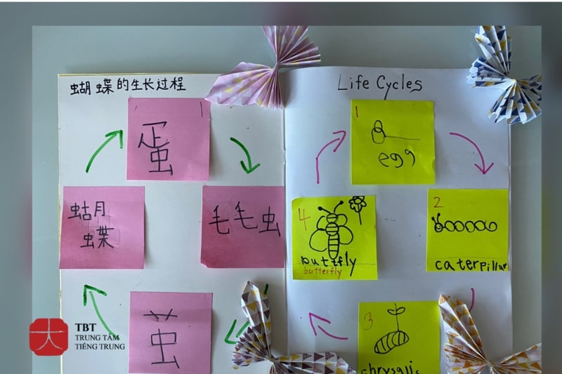 học từ vựng tiếng Trung bằng giấy ghi chú nhiều màu